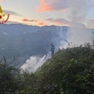 Emergenza incendi, Coldiretti Liguria: &quot;Boschi sempre più vulnerabili, servono prevenzione, gestione e responsabilità”