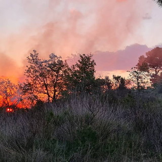 Da sabato 5 luglio scatta lo stato di grave pericolosità per incendi boschivi in Liguria
