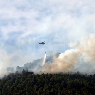 Sanremo: focolai nella zona dell'incendio di venerdì a Borello, tornano le squadre a terra e anche l'elicottero