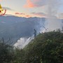 Emergenza incendi, Coldiretti Liguria: &quot;Boschi sempre più vulnerabili, servono prevenzione, gestione e responsabilità”