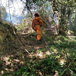Sanremo: incendio di Borello e situazione delle strade, Calvi &quot;Servono interventi per decespugliare a bordo strada&quot;