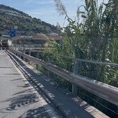 Taggia: giovani in bicicletta contromano vicino alla rotonda di Levà, la preoccupazione di una lettrice