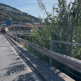 Taggia: giovani in bicicletta contromano vicino alla rotonda di Levà, la preoccupazione di una lettrice