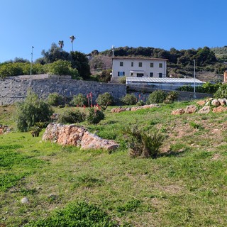Area cani attrezzata, Vallecrosia al Mare pronta a inaugurare 'Bau Garden'