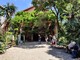 Bordighera, aperture straordinarie estive del Museo Bicknell